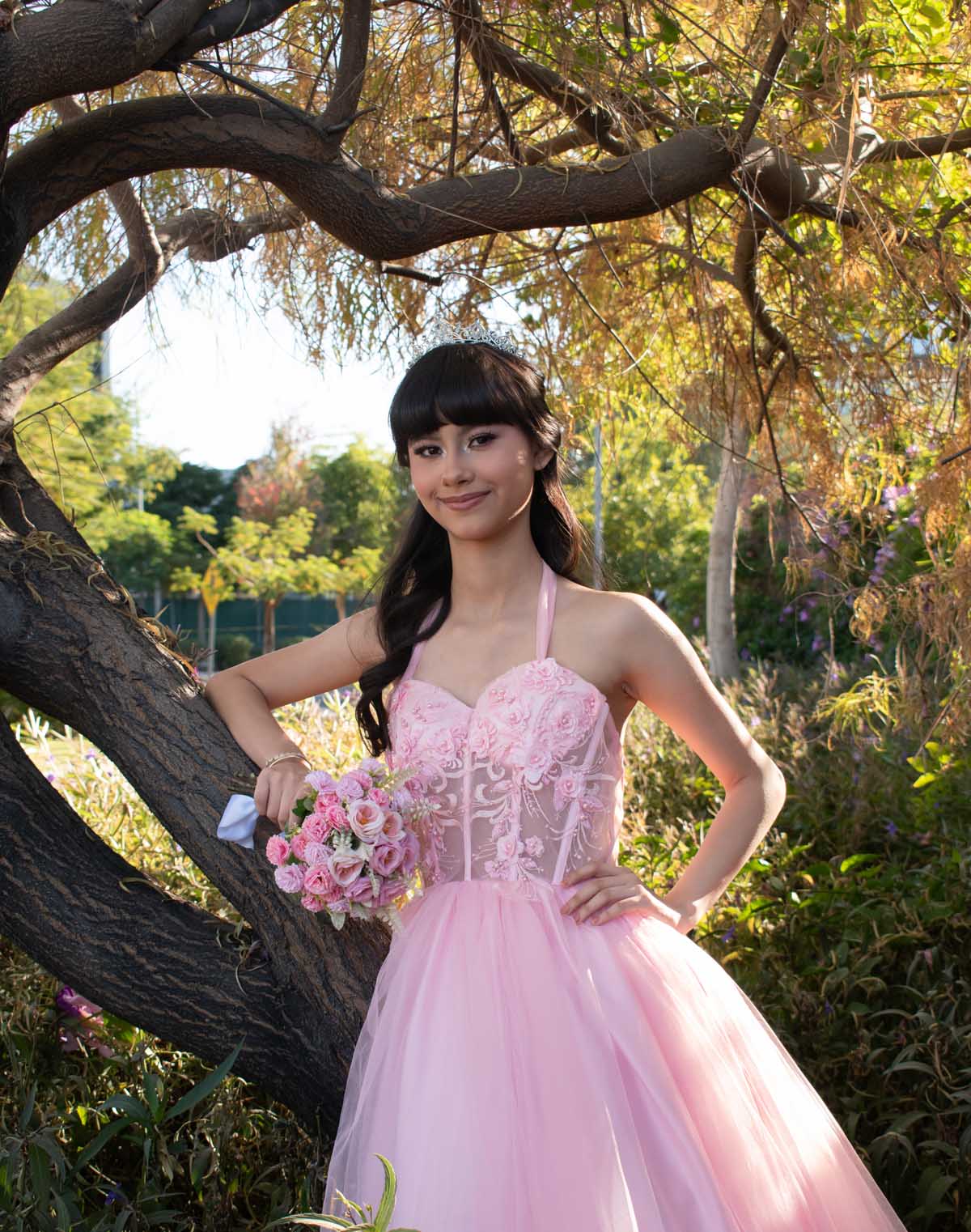 XV Años de Ensueño - Imagen 3